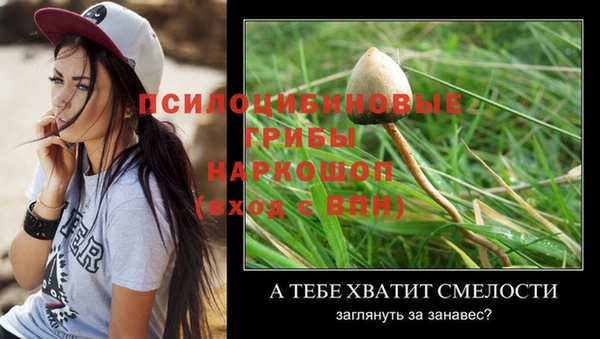 a pvp Баксан