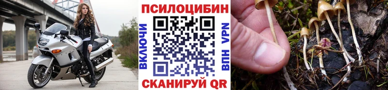 наркошоп  Нязепетровск  Псилоцибиновые грибы мицелий 